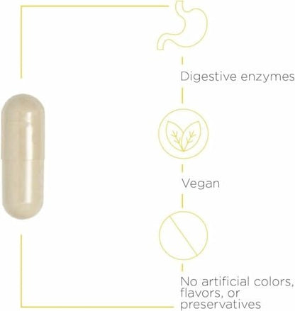 Integrative Therapeutics Similase – Pflanzliches Verdauungsenzym für Erwachsene – Unterstützt Verdauung und Nährstoffaufnahme – Milchfrei & vegan – 90 Kapseln (45 Portionen)