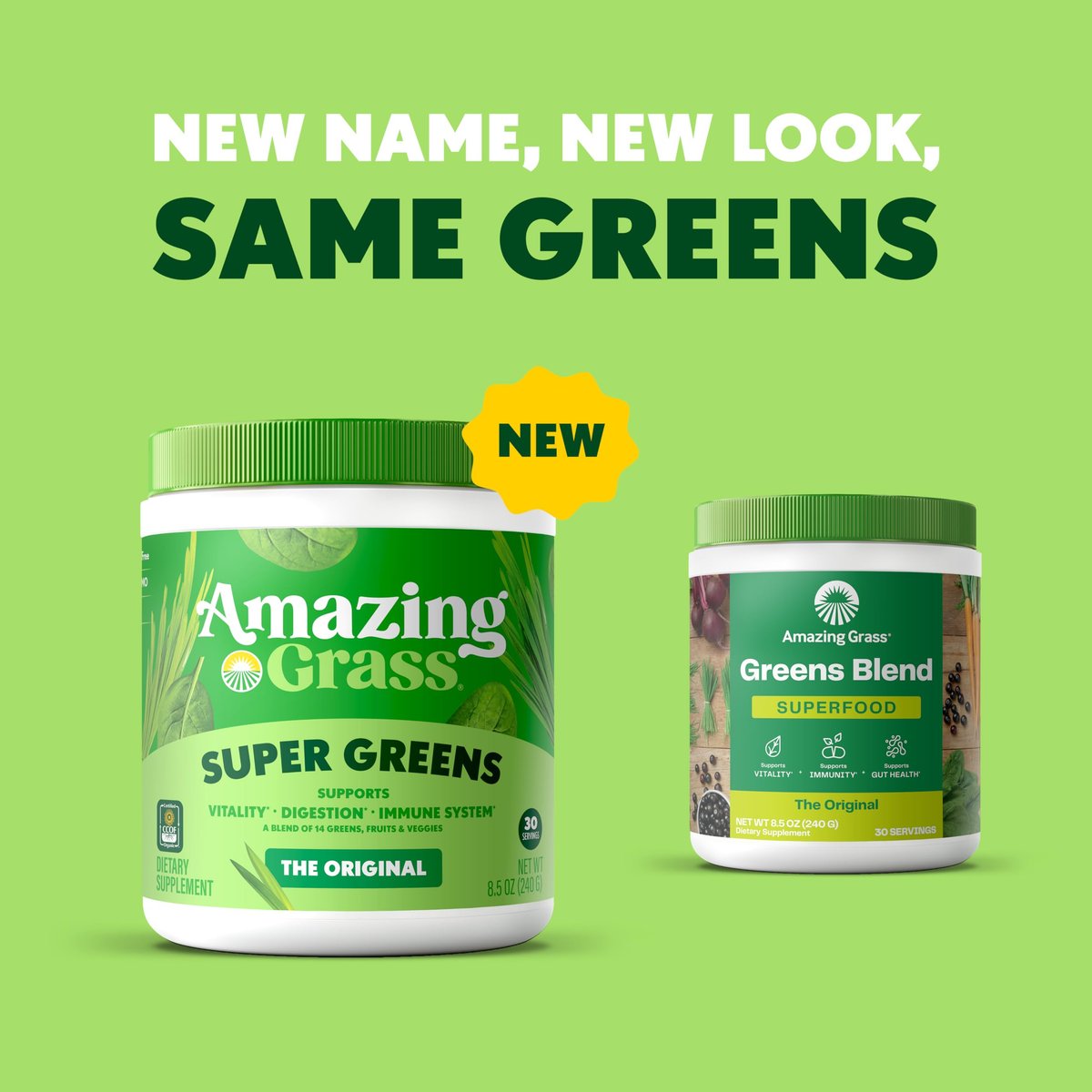 Amazing Grass Super Greens Pulver – Bio Grünpulver für Smoothies, Verdauung & Immunsystem, 30 Portionen (8,5 Unzen Original)