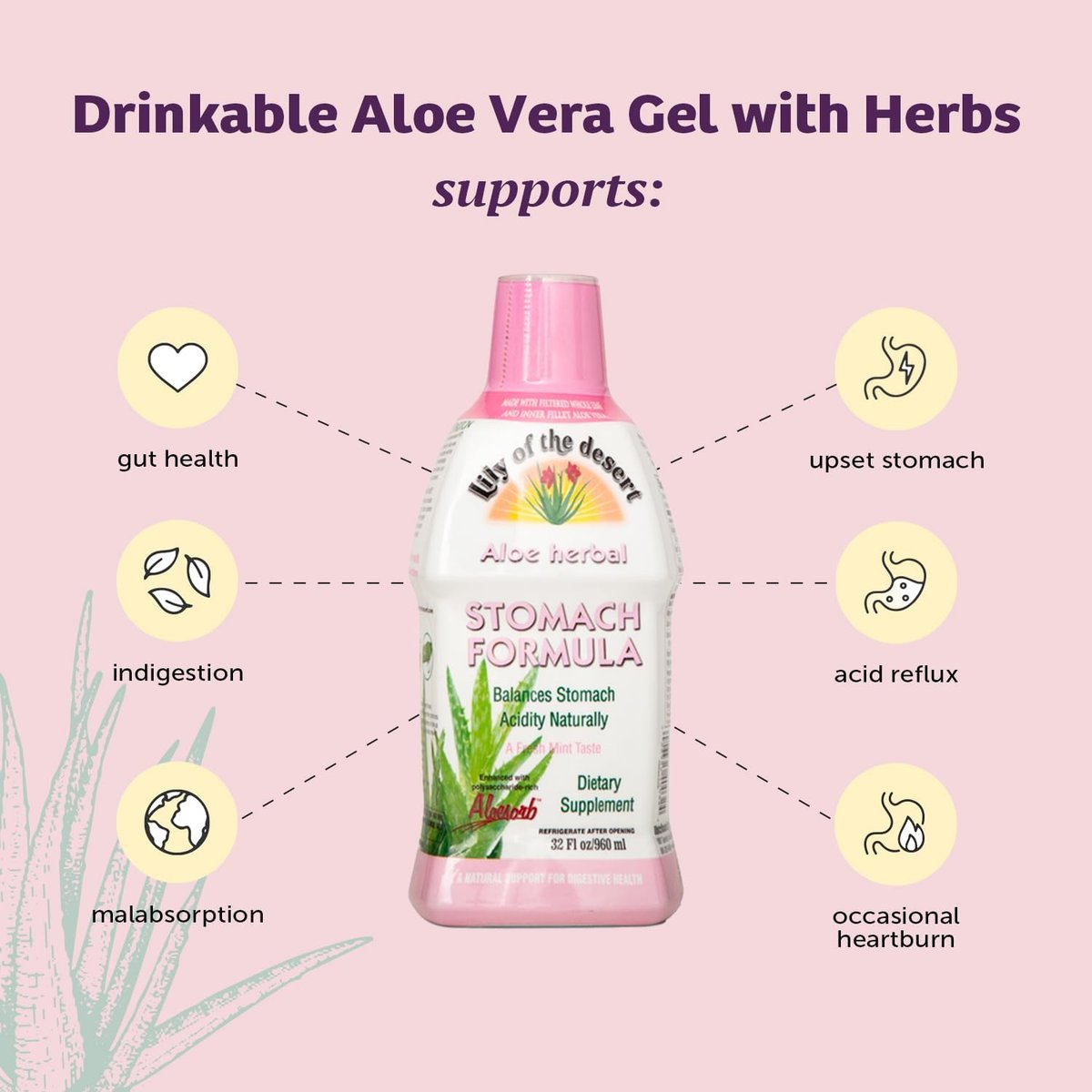 Lily of the Desert Magenformel, Bio Aloe Vera Saft mit Ulme, Kamille, Pfefferminze und Ingwer für die Darmgesundheit, Sodbrennen & saures Aufstoßen, 946 ml, inkl. Gelbeutel