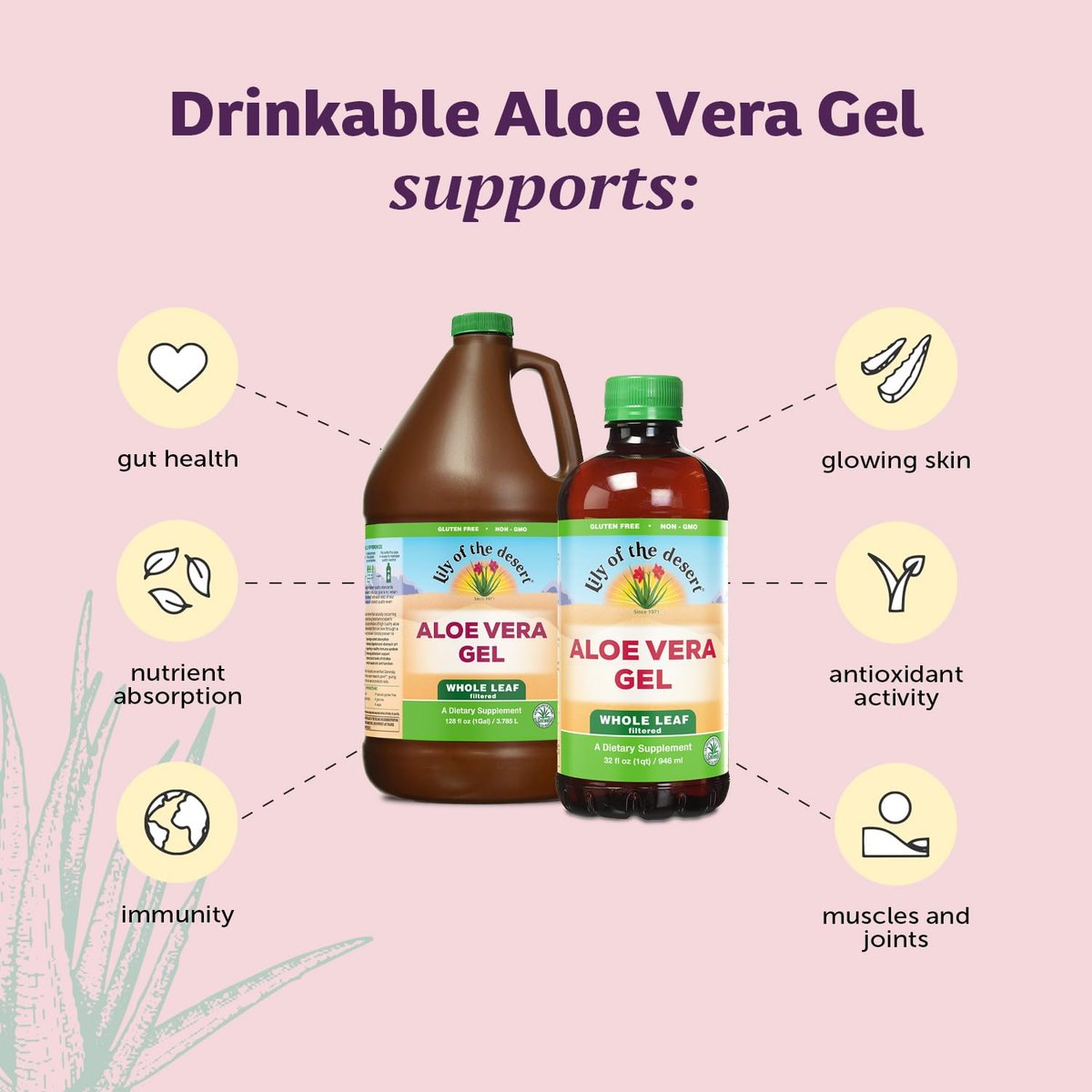 Lily Of The Desert Aloe Vera Gel, Konservierungsmittelfrei - Ganze Blatt Gefiltert, Dickere Konsistenz, Aloe Vera Getränk mit Natürlichen Vitaminen, Verdauungsenzyme für Darmgesundheit, Wohlbefinden, Strahlende Haut, 946 ml