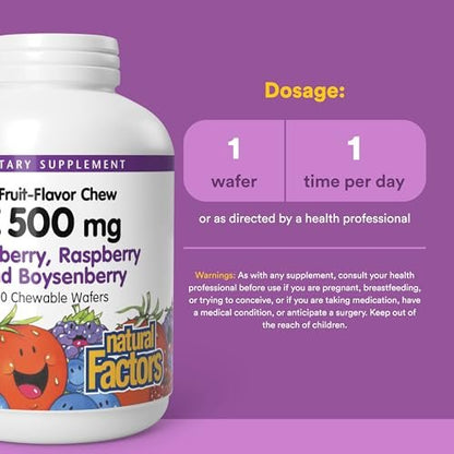 Natural Factors, Kautabletten Vitamin C 500 mg für Kinder, Unterstützt Immunsystem, Knochen, Zähne und Zahnfleisch, Heidelbeere, Himbeere und Boysenbeere, 90 Kautabletten (1er Pack)