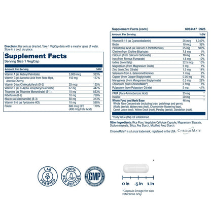 SOLARAY Once Daily High Energy Multivitamin für Männer und Frauen – mit Vitamin C, Vitamin D und Vollwertkräuterbasis – Unterstützung des Zellstoffwechsels und der Immunfunktion – 60 Portionen, 60 VegCap