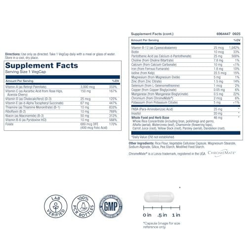 SOLARAY Once Daily High Energy Multivitamin für Männer und Frauen – mit Vitamin C, Vitamin D und Vollwertkräuterbasis – Unterstützung des Zellstoffwechsels und der Immunfunktion – 60 Portionen, 60 VegCap