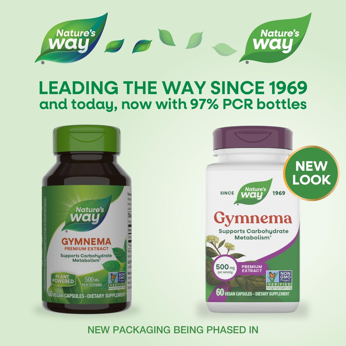 Nature's Way Gymnema Premium Extract – Unterstützt den Kohlenhydratstoffwechsel*, 500 mg pro Portion, Non-GMO Project verifiziert, 60 vegane Kapseln