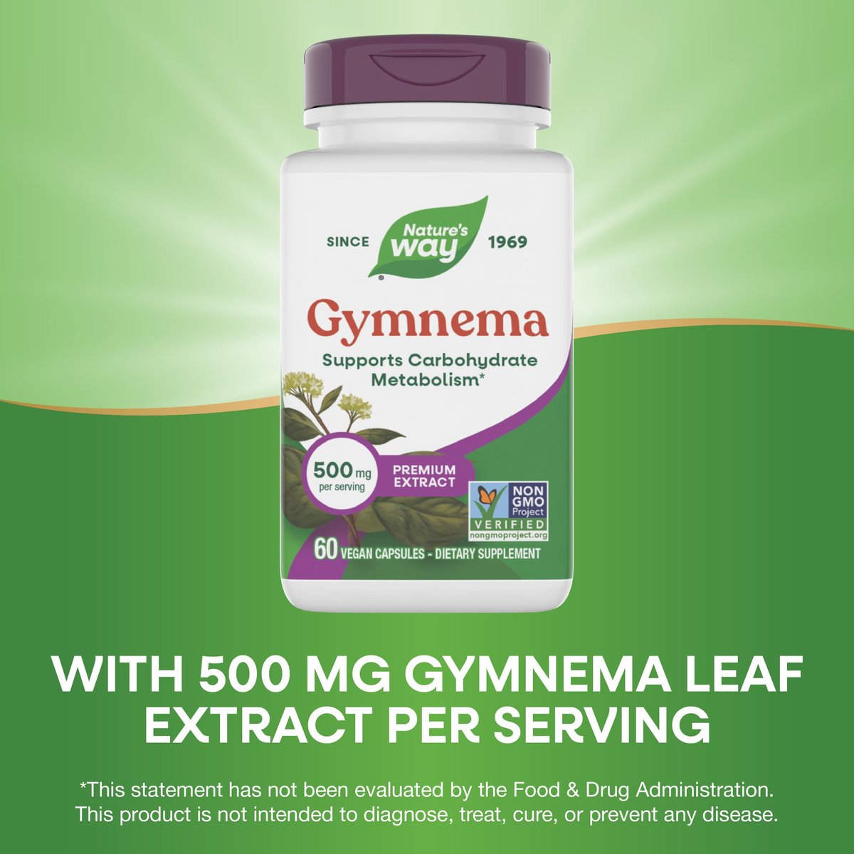 Nature's Way Gymnema Premium Extract – Unterstützt den Kohlenhydratstoffwechsel*, 500 mg pro Portion, Non-GMO Project verifiziert, 60 vegane Kapseln