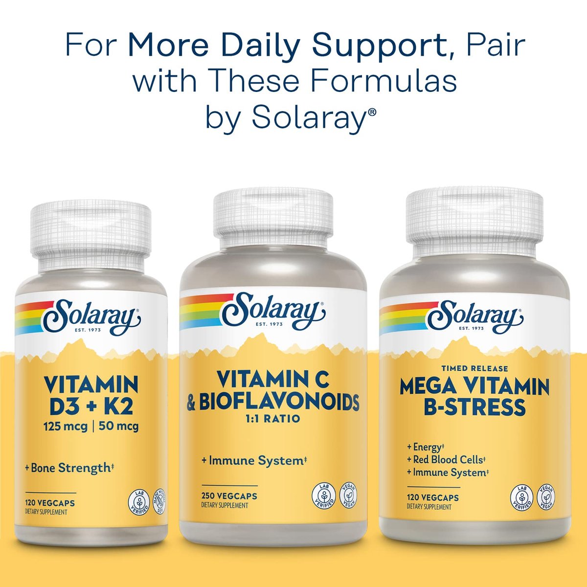 Solaray Calcium Magnesium Citrat 1000mg 1:1 Verhältnis – Knochenstärke, Muskel- und Nervensystemunterstützung, 180 Veggie-Kapseln