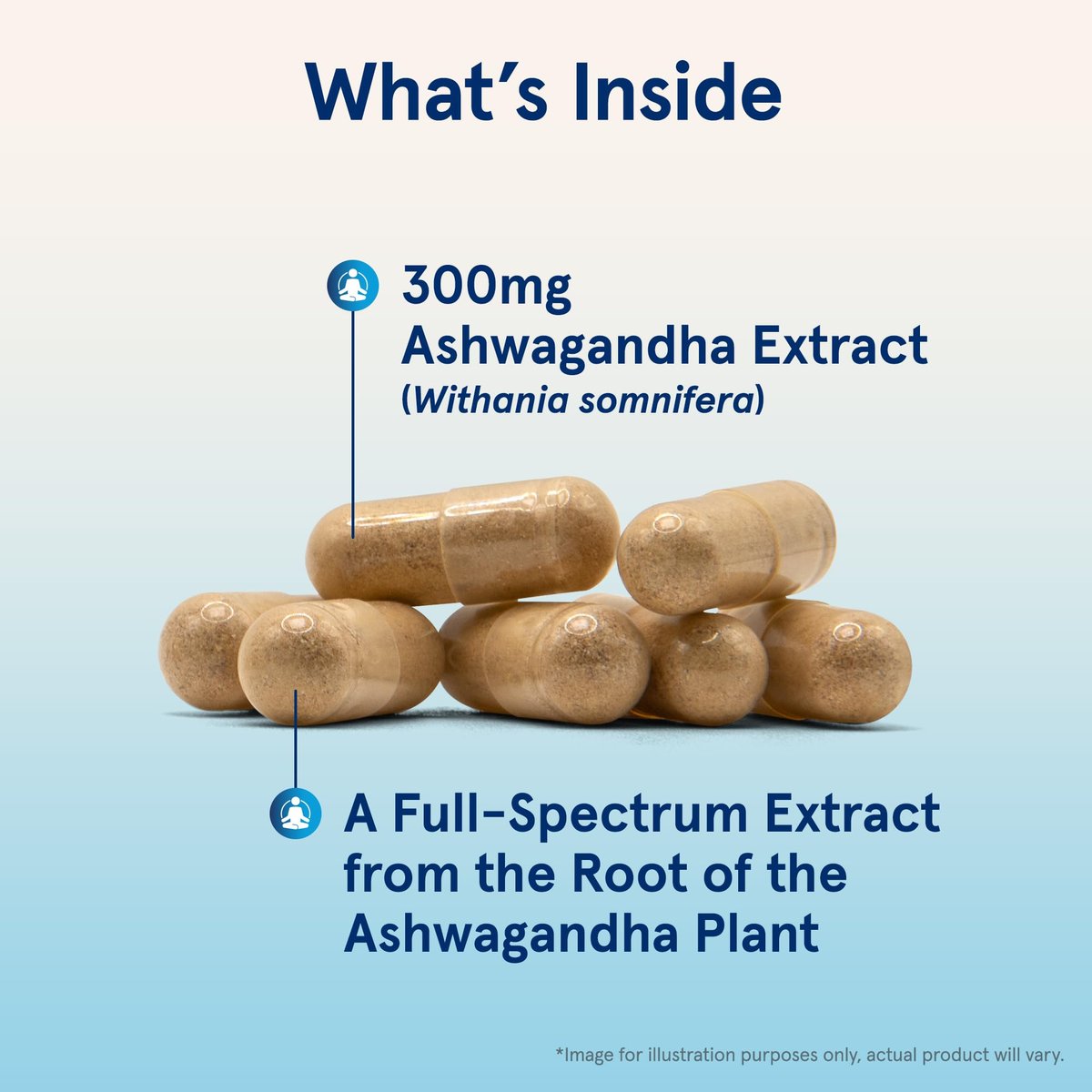 Jarrow Formulas Ashwagandha Kapseln, 300 mg, Unterstützt die normale Stressresistenz, 120 vegane Kapseln, 60 Tage Vorrat