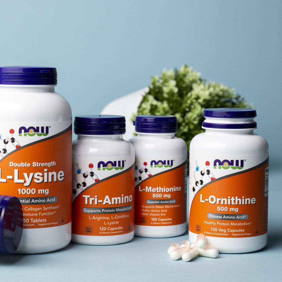 NOW Foods L-Ornithin 500 mg, 120 Kapseln – Hochwertiges Aminosäurepräparat