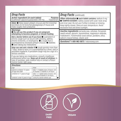 Nature's Way Air-Power, Guaifenesin, Schleimlöser zur Befreiung der Atemwege, Verdünnt und löst Schleim, Vegan, 100 Tabletten (Verpackung kann variieren)