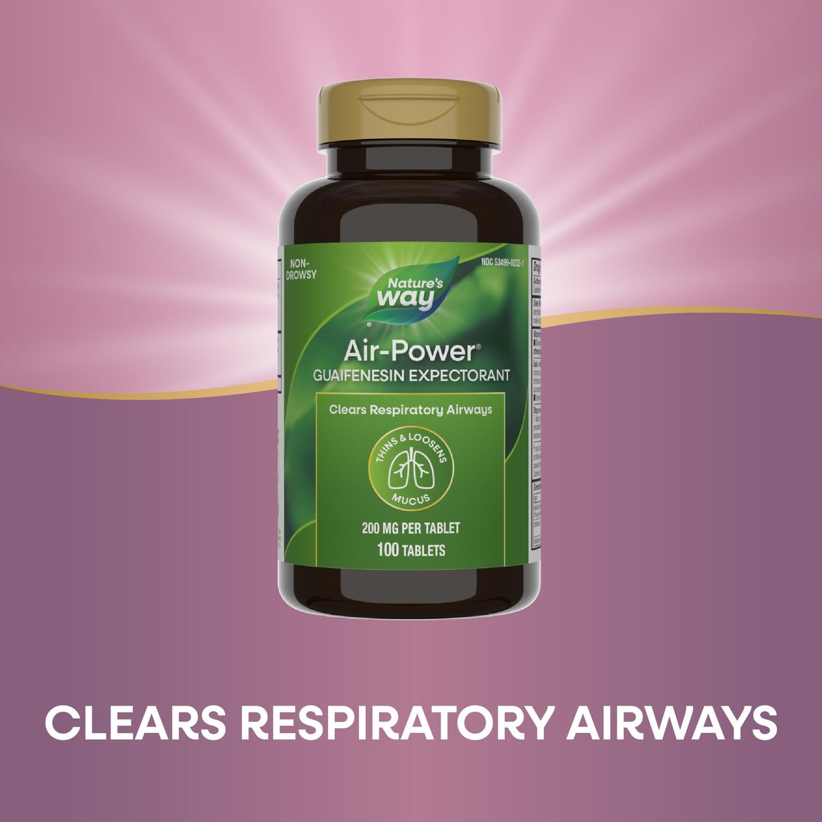 Nature's Way Air-Power, Guaifenesin, Schleimlöser zur Befreiung der Atemwege, Verdünnt und löst Schleim, Vegan, 100 Tabletten (Verpackung kann variieren)