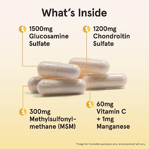 Jarrow Formulas Glucosamin, Chondroitin und MSM Kapseln – Gelenkunterstützung mit Vitamin C und Mangan, 120 Kapseln, 30-Tage-Vorrat