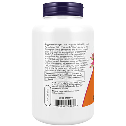 NOW Foods Pantothensäure (Vitamin B-5) 500 mg, B-Komplex Vitamin, 250 Kapseln