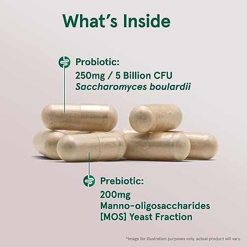 Jarrow Formulas Saccharomyces Boulardii + MOS Probiotika für Verdauungsgesundheit und Darmunterstützung - 5 Milliarden KBE pro Portion - 90 Kapseln mit verzögerter Freisetzung - Probiotikum + Präbiotikum - 90 Portionen