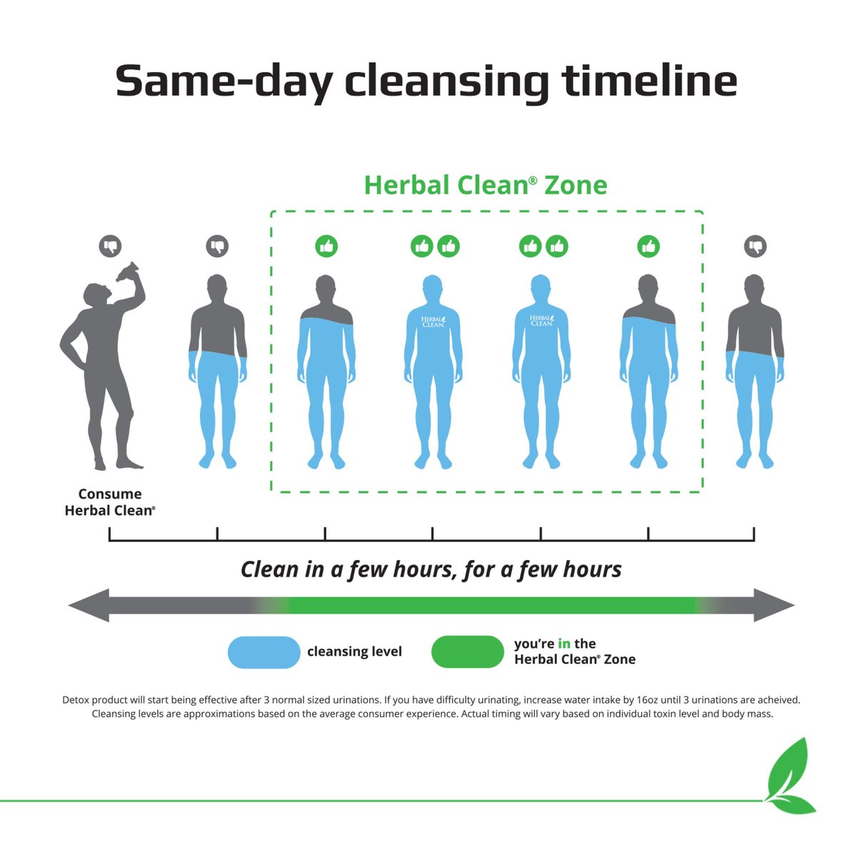 Herbal Clean QTabs Same-Day Detox – 10 Tabletten, diskret und tragbar