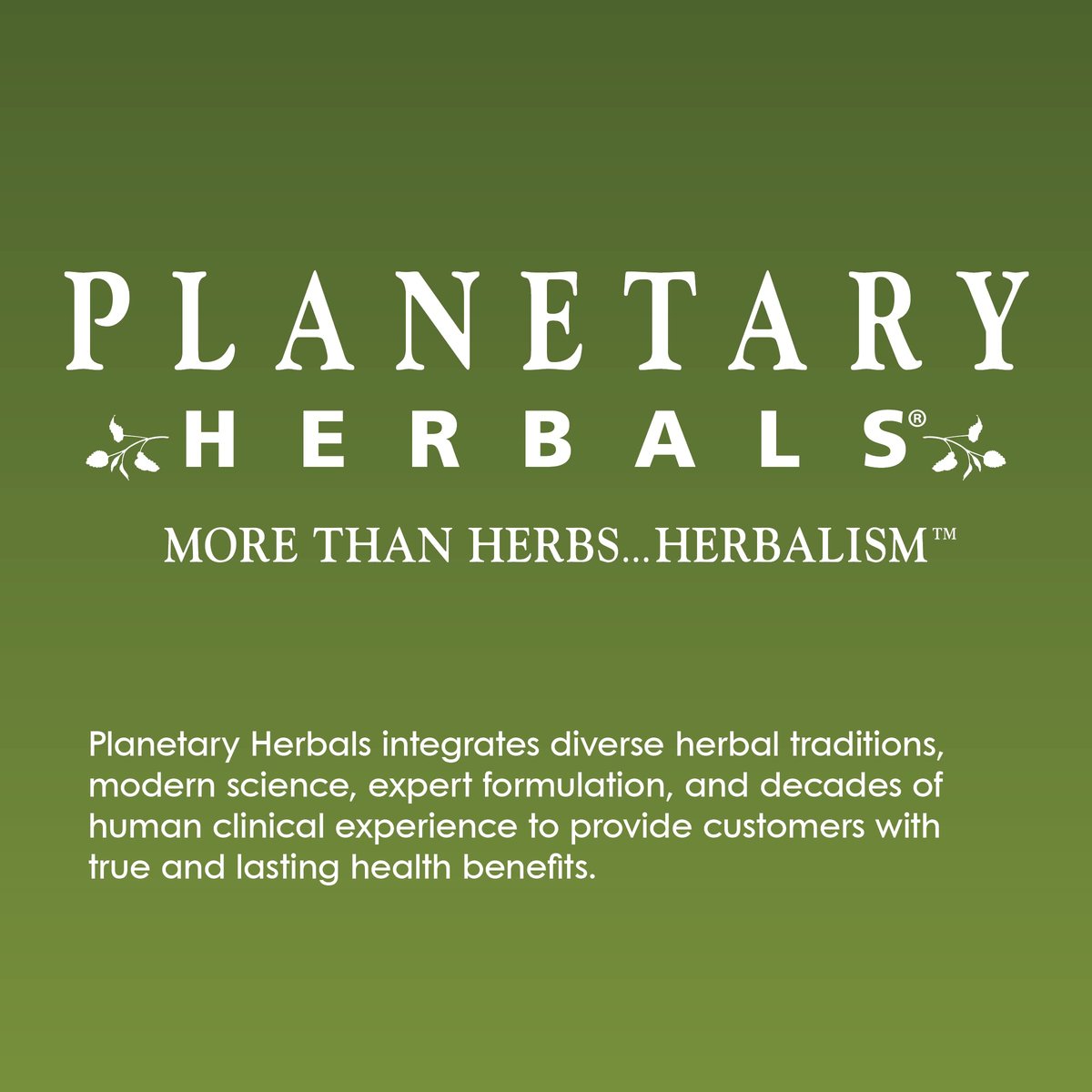Planetary Herbals Triphala 1000 mg – 90 Tabletten – Traditionelle ayurvedische Kräutermischung