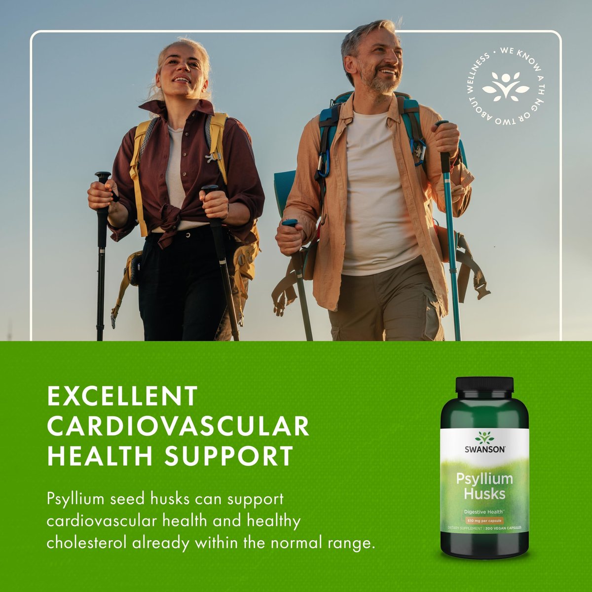 Swanson Psyllium Flohsamenschalen Ballaststoffergänzung 610 mg 300 Kapseln