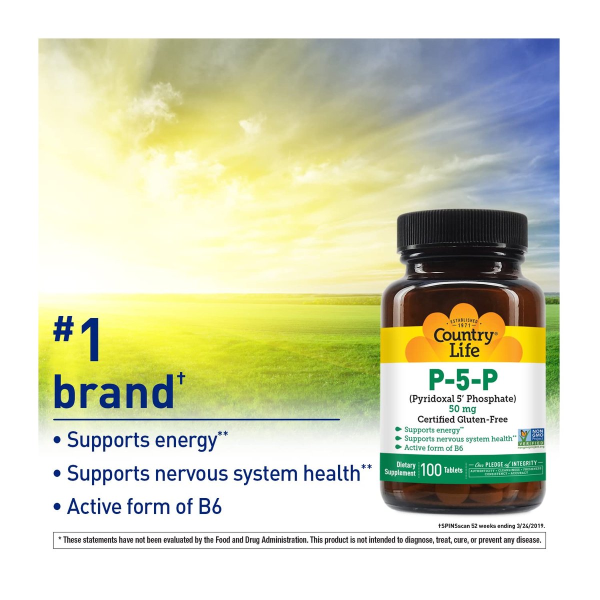 Country Life P-5-P Vitamin B6 – Bioverfügbares Pyridoxal-5-Phosphat für Energie, Nervensystem und rote Blutkörperchen – Zertifiziert glutenfrei, vegan, nicht-GVO – 100 Kapseln