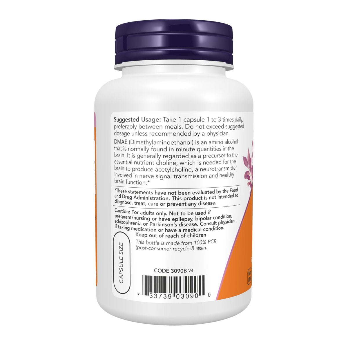 NOW Supplements, DMAE (Dimethylaminoethanol) 250 mg, für gesunde Gehirnfunktion*, 100 vegane Kapseln
