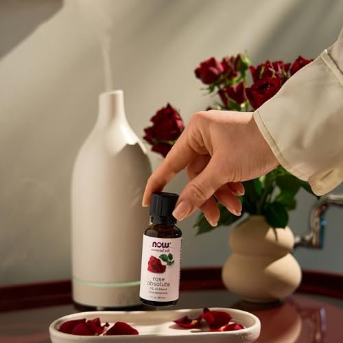NOW Foods Bio-Öl, Rose Absolut, 5% Mischung aus reinem Rosen-Absolut-Öl in reinem Jojobaöl, romantischer Aromatherapie-Duft, vegan, kindersicherer Verschluss, 30 ml