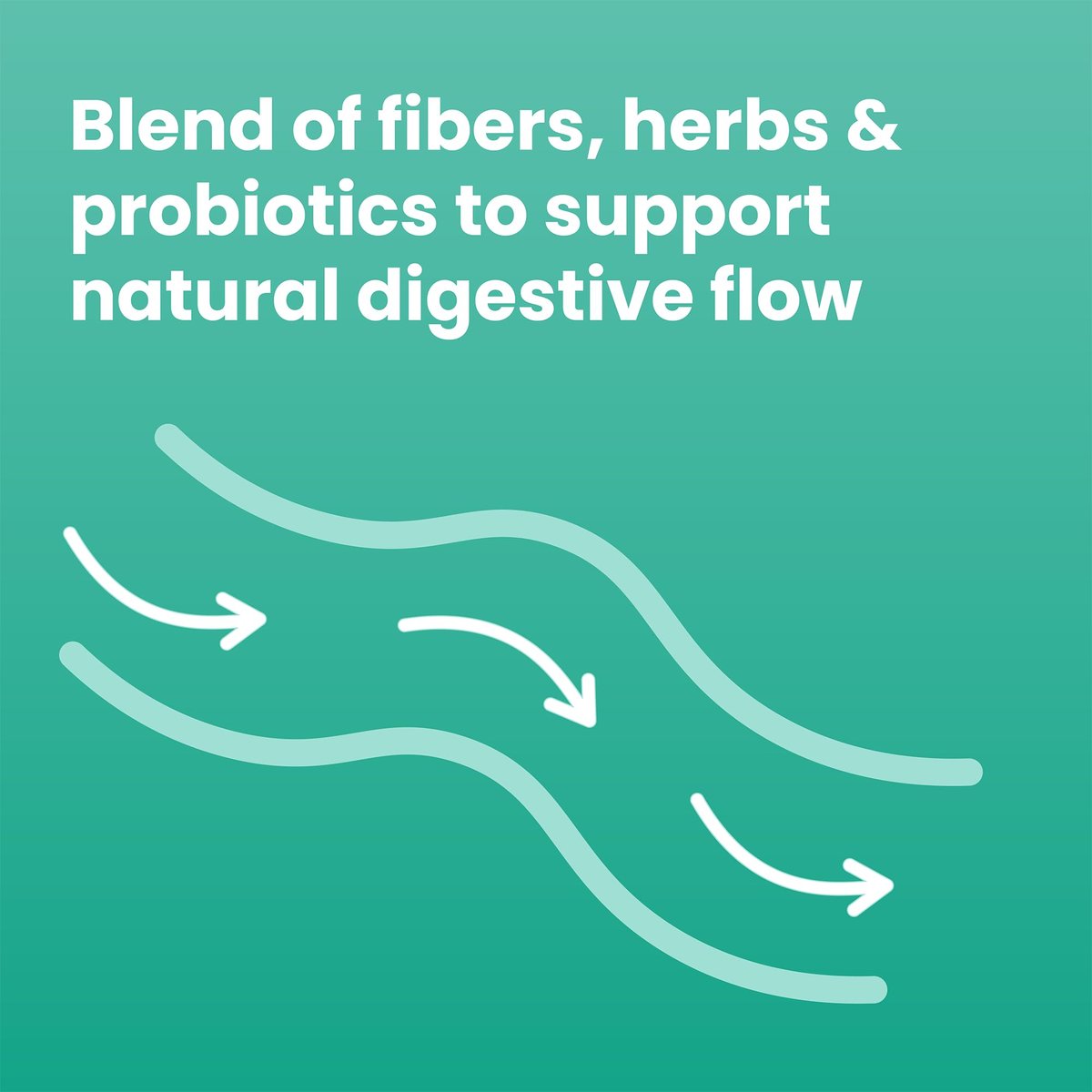 Sanar Naturals Darmreinigung | Ballaststoffe und Darmgesundheit mit Flohsamenschalen, Probiotika, Cascara Sagrada und Aloe Vera | GLP-1 Unterstützung, Verdauungswohlbefinden für Frauen und Männer, 90 Kapseln