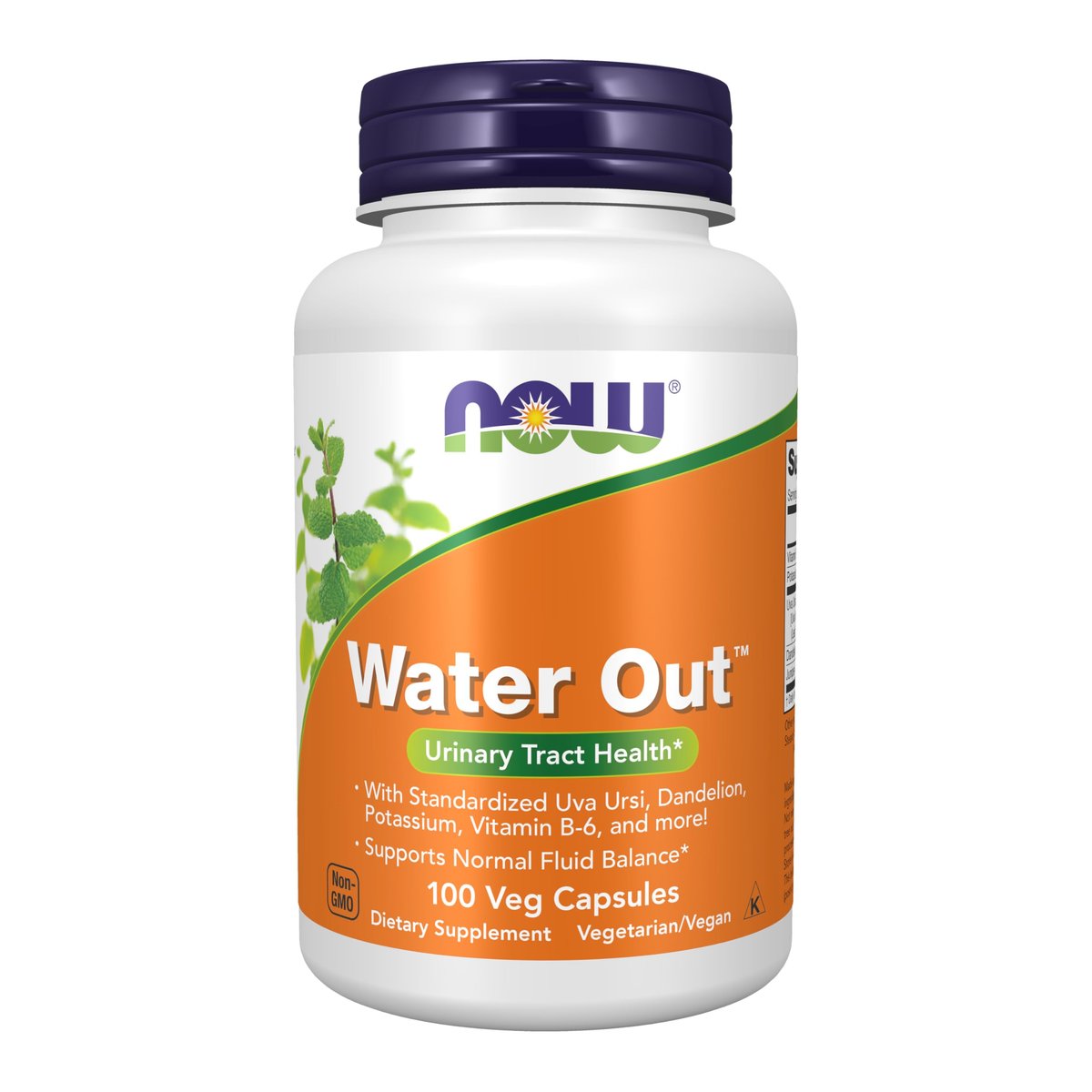 NOW Foods Nahrungsergänzungsmittel, Wasserausscheidung mit standardisierter Bärentraube, Löwenzahn, Kalium und Vitamin B-6, 100 vegane Kapseln