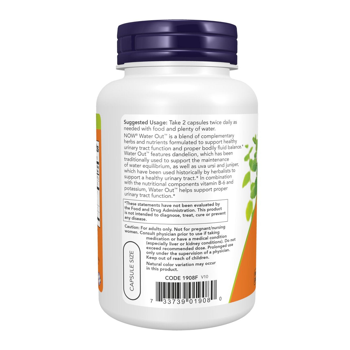 NOW Foods Nahrungsergänzungsmittel, Wasserausscheidung mit standardisierter Bärentraube, Löwenzahn, Kalium und Vitamin B-6, 100 vegane Kapseln