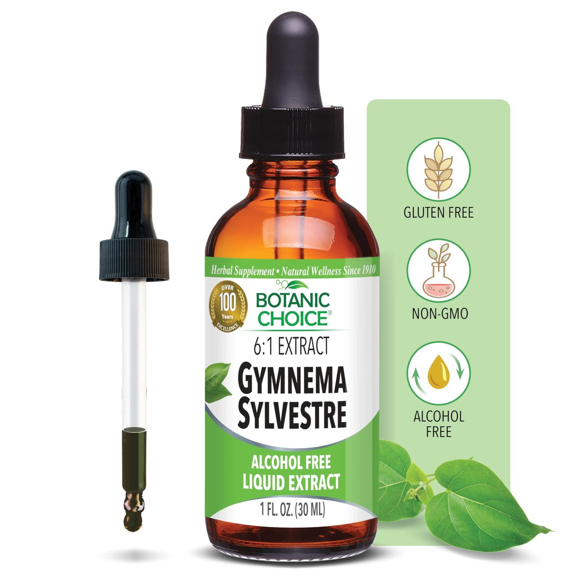 Botanic Choice Gymnema Sylvestre Flüssigextrakt – Alkohol- & Glutenfrei, Nicht-GVO, mit Pipette, 30 ml