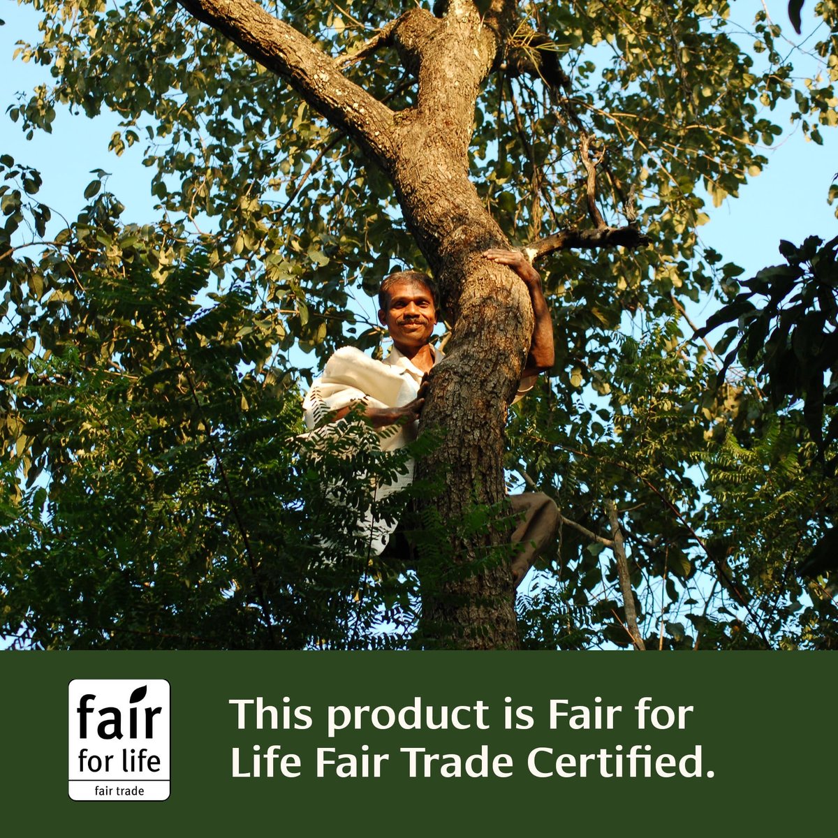 Banyan Botanicals Haritaki Pulver – Organische Terminalia Chebula – Ayurvedisches Verdauungsergänzungsmittel für sanfte Reinigung* – ½ lb – Nicht-GVO, nachhaltig, Fair for Life Fair Trade zertifiziert
