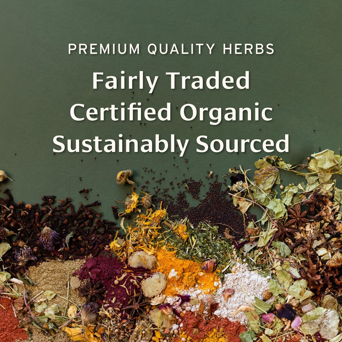 Banyan Botanicals Haritaki Pulver – Organische Terminalia Chebula – Ayurvedisches Verdauungsergänzungsmittel für sanfte Reinigung* – ½ lb – Nicht-GVO, nachhaltig, Fair for Life Fair Trade zertifiziert