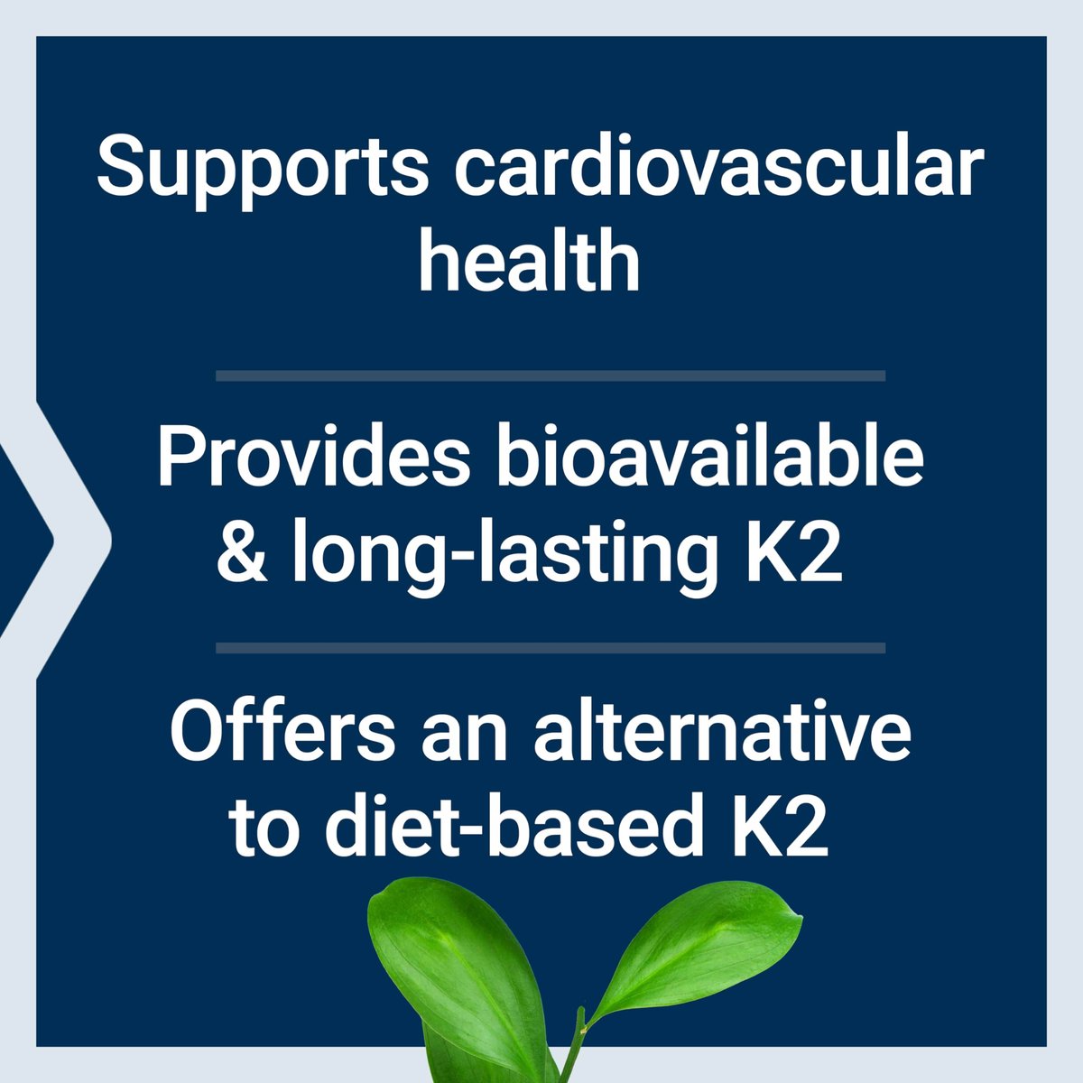 Life Extension Low Dose Vitamin K2 – Unterstützt die Arteriengesundheit – Non-GMO, glutenfrei – 90 Softgels