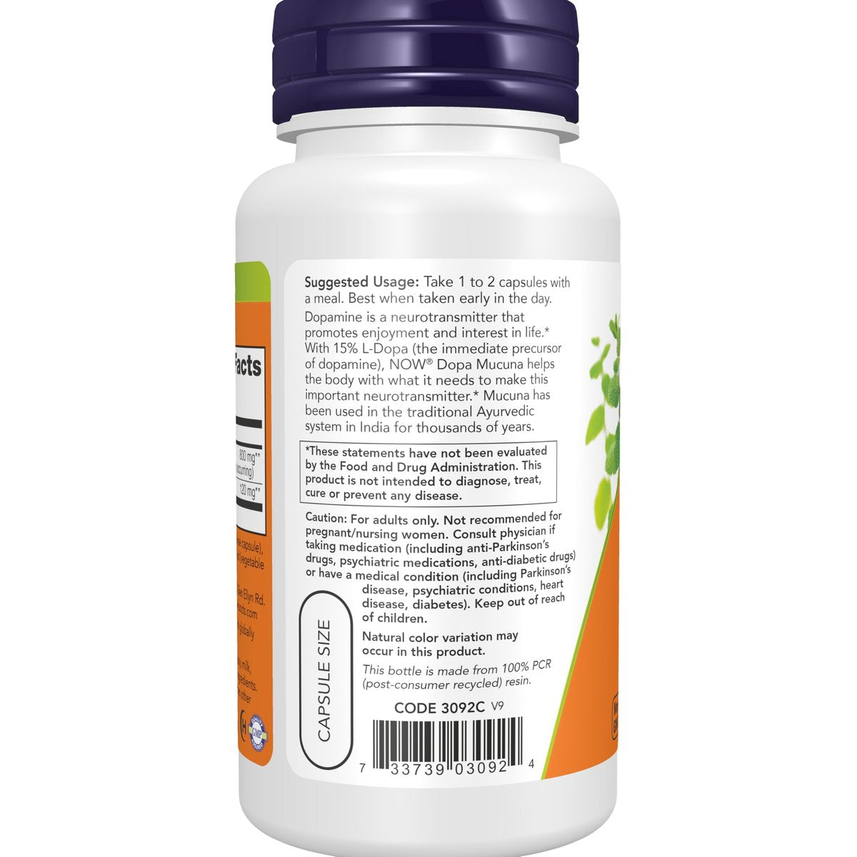 NOW Supplements, DOPA Mucuna, standardisierter Mucuna-Extrakt mit natürlich vorkommenden 15 % L-Dopa, 90 vegane Kapseln