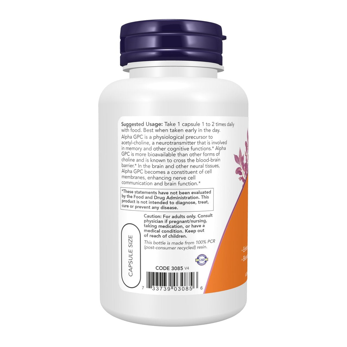 NOW Supplements, Alpha GPC 300 mg – Bioverfügbare Cholin-Quelle, 60 vegane Kapseln
