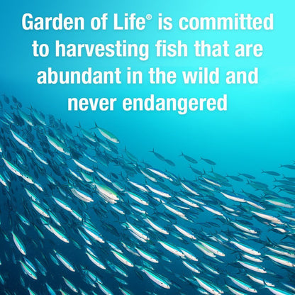 Garden of Life Oceans 3 Beyond Omega-3 mit OmegaXanthin – EPA, DHA, Fischöl mit 1200 mg Omega 3, Astaxanthin & Braunalgen-Extrakt – 60 Softgels