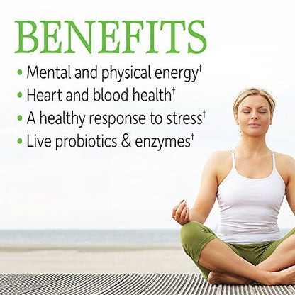 Garden of Life Vitamin B-Komplex – 60 vegane Kapseln mit hoher Potenz für Energie & Stoffwechsel, inkl. B6, Folat & B12 als Methylcobalamin plus Probiotika