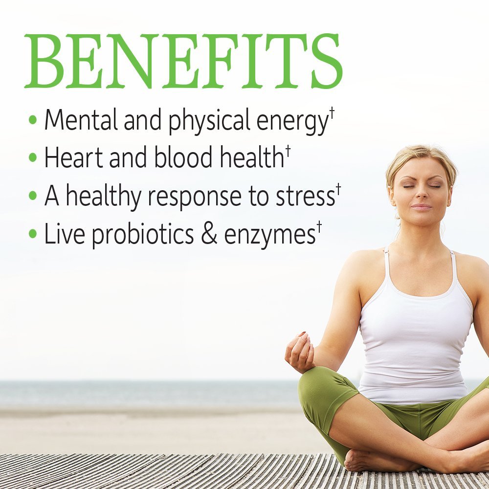 Garden of Life Vitamin B-Komplex – 60 vegane Kapseln mit hoher Potenz für Energie & Stoffwechsel, inkl. B6, Folat & B12 als Methylcobalamin plus Probiotika