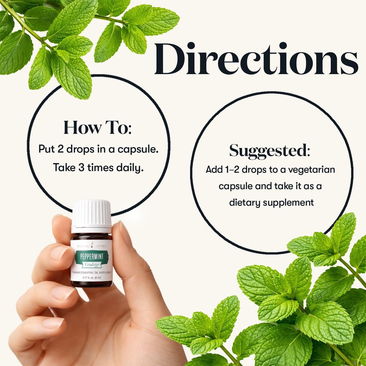 Young Living Pfefferminz Vitality ätherisches Öl | 5 ml | Erfrischend & belebend für Zuhause, Arbeit & persönliche Anwendung | Ideal für Aromatherapie, Wellness-Routinen & Massage | Vegan & glutenfrei