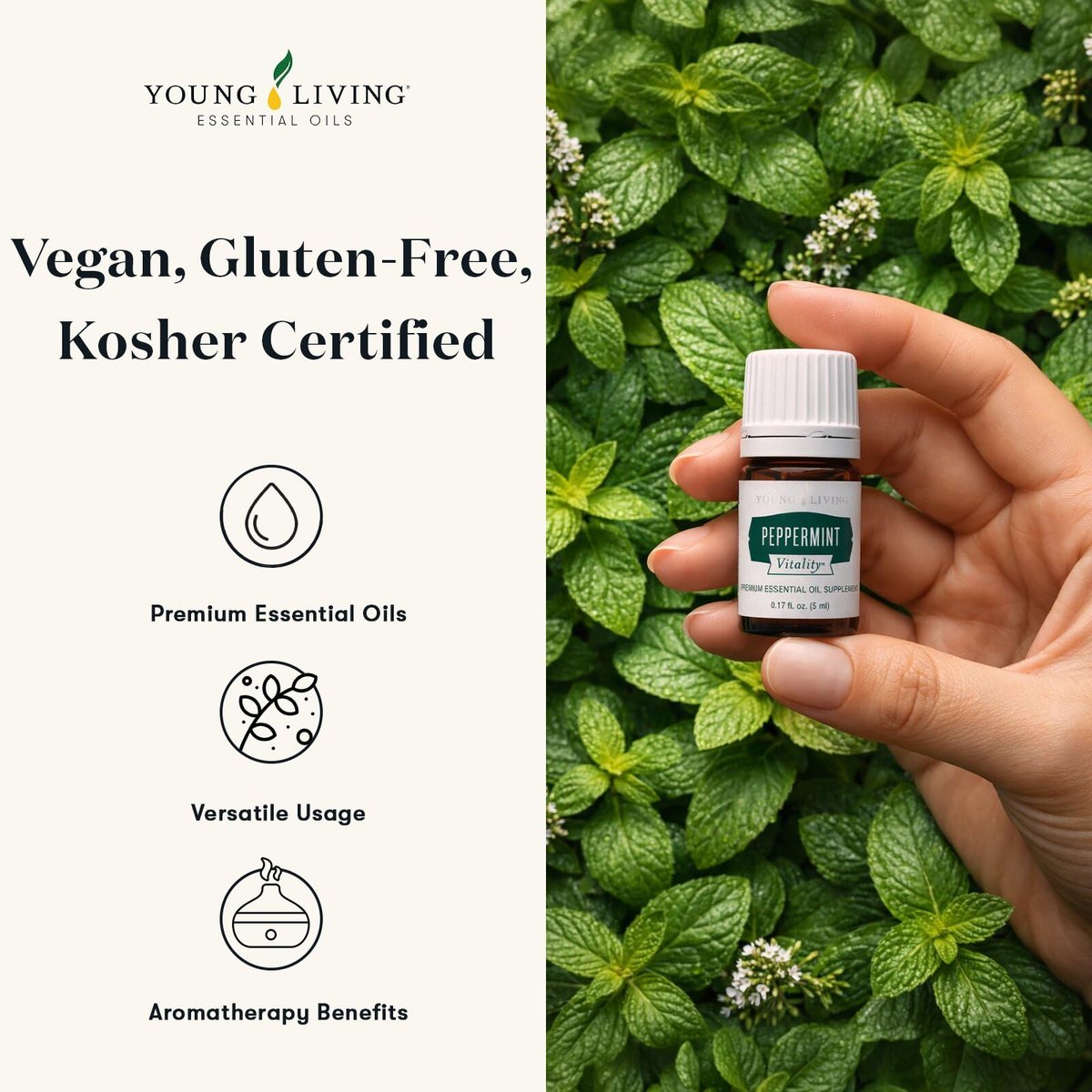 Young Living Pfefferminz Vitality ätherisches Öl | 5 ml | Erfrischend & belebend für Zuhause, Arbeit & persönliche Anwendung | Ideal für Aromatherapie, Wellness-Routinen & Massage | Vegan & glutenfrei