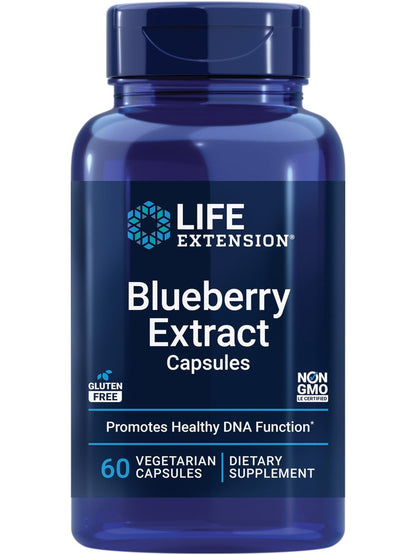 Life Extension Heidelbeerextrakt Kapseln – unterstützt kognitive & Gedächtnisgesundheit, hilft gesunde Cholesterinwerte zu erhalten, bekämpft oxidativen Stress, glutenfrei, nicht gentechnisch verändert, vegetarisch, 60 Kapseln