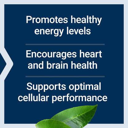 Life Extension L-Carnitin – 500 mg, Energie- und Gedächtnisergänzung – Freie Form Aminosäure, Stickstoffmonoxid-Unterstützung, Gesunder Blutdruck – Glutenfrei, Nicht-GVO, Vegetarisch – 30 Kapseln
