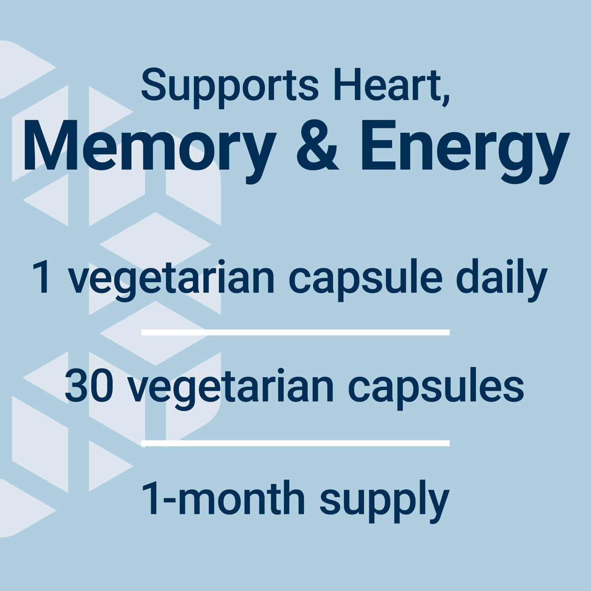 Life Extension L-Carnitin – 500 mg, Energie- und Gedächtnisergänzung – Freie Form Aminosäure, Stickstoffmonoxid-Unterstützung, Gesunder Blutdruck – Glutenfrei, Nicht-GVO, Vegetarisch – 30 Kapseln