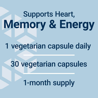 Life Extension L-Carnitin – 500 mg, Energie- und Gedächtnisergänzung – Freie Form Aminosäure, Stickstoffmonoxid-Unterstützung, Gesunder Blutdruck – Glutenfrei, Nicht-GVO, Vegetarisch – 30 Kapseln