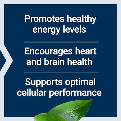 Life Extension L-Carnitin – 500 mg, Energie- und Gedächtnisergänzung – Freie Form Aminosäure, Stickstoffmonoxid-Unterstützung, Gesunder Blutdruck – Glutenfrei, Nicht-GVO, Vegetarisch – 30 Kapseln
