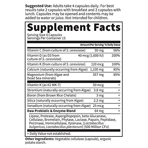 Garden of Life Raw Calcium – Nahrungsergänzungsmittel aus Vollwertkost mit Magnesium, Vitamin K2, D3 und C sowie Probiotika, 60 Kapseln