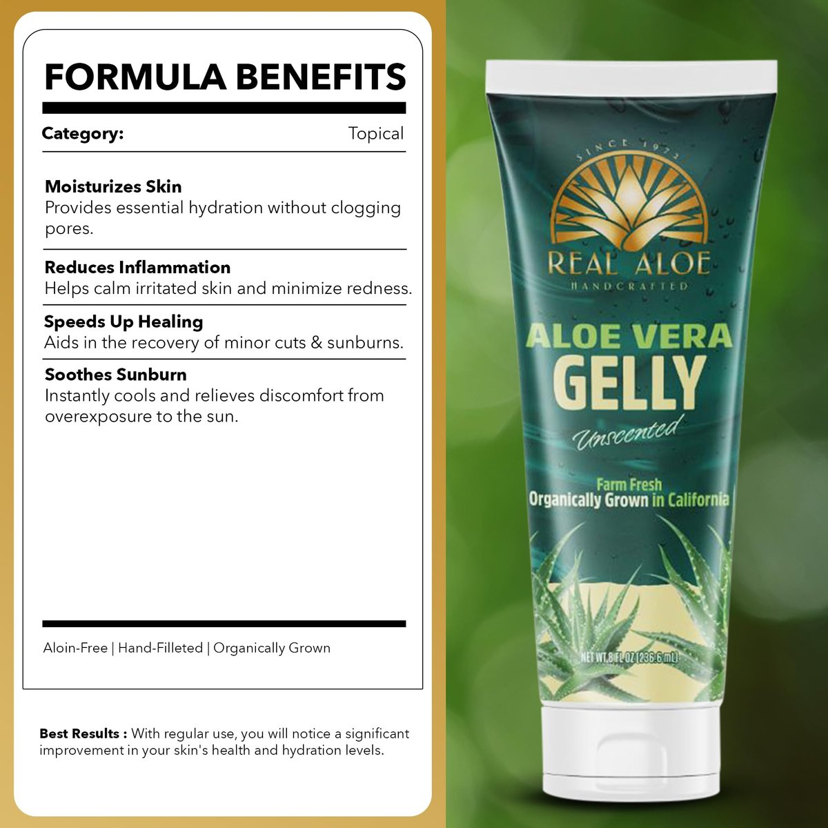 Real Aloe Aloe Vera Gelly (236 ml) | Bio-Innenblatt-Aloe für Gesicht, Haut & Haare | Ungiftig, nicht klebrig | After Sun & tägliche Feuchtigkeitspflege