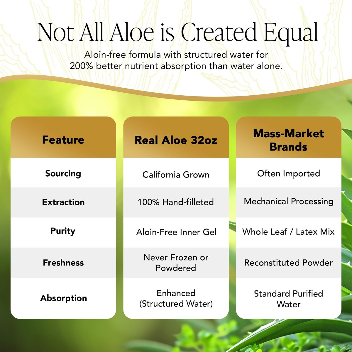 Real Aloe Aloe Vera Gelly (236 ml) | Bio-Innenblatt-Aloe für Gesicht, Haut & Haare | Ungiftig, nicht klebrig | After Sun & tägliche Feuchtigkeitspflege