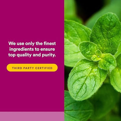 Natural Factors Oreganoöl – Flüssiges Antioxidans für die Immununterstützung, 30 ml