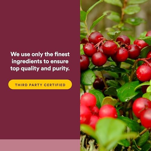 CranRich von Natural Factors – Hochkonzentrierter Cranberry-Extrakt, Antioxidans zur Unterstützung der Harnwege, Non-GMO, 90 Softgels (90 Portionen)