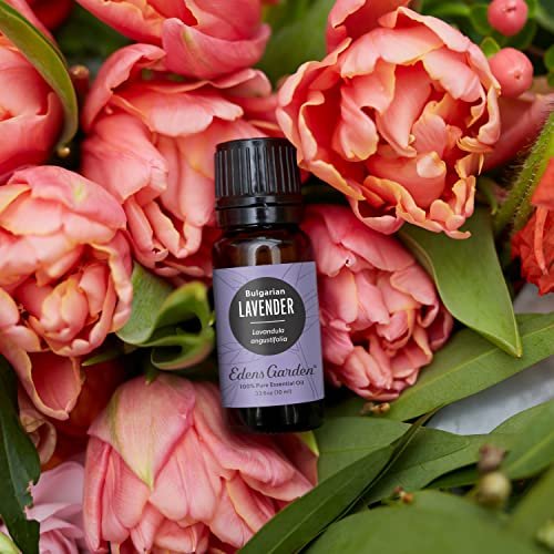 Edens Garden Lavendel- Bulgarisches Bio-Öl- 100% reines Premium, unverdünnt, natürlich, therapeutisch, Aromatherapie, am besten für Diffusor, Haut, Luftbefeuchter, kindersicher 10 ml