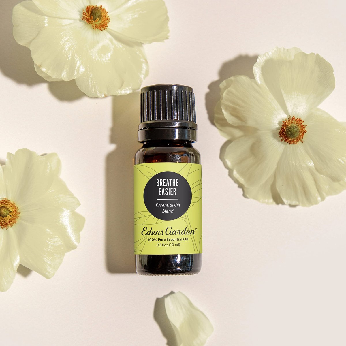 Edens Garden Breathe Easier Synergie-Mischung – 100% reine ätherische Öle, 10 ml
