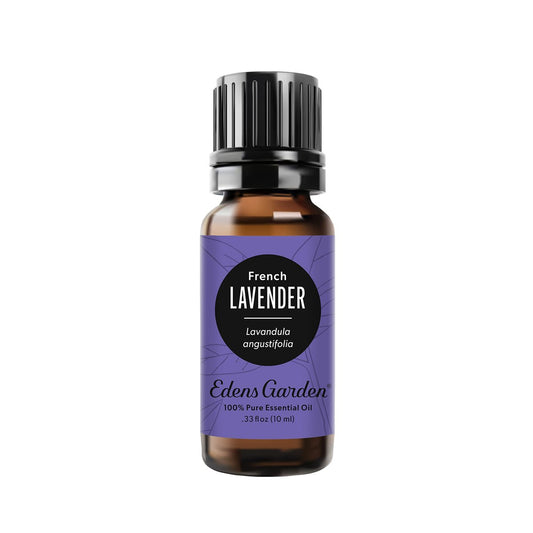 Edens Garden Französisches Lavendel Bio-Öl – 100 % reines, unverdünntes therapeutisches Aromaöl für Diffuser, Gesicht, Wäsche, kindersicher – 10 ml